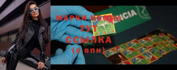 молекула духа Арсеньев