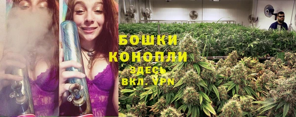 молекула духа Арсеньев