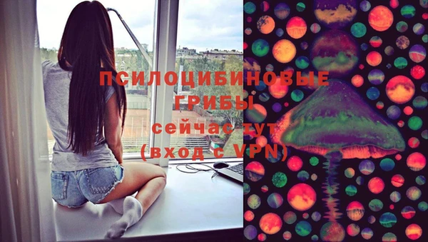молекула духа Арсеньев