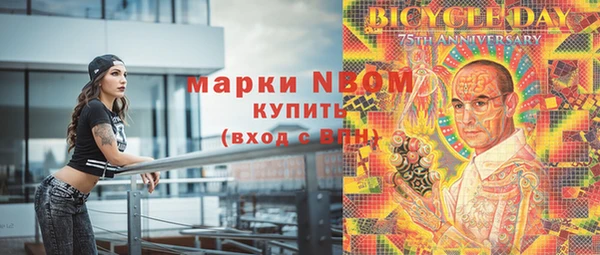 молекула духа Арсеньев