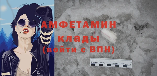 молекула духа Арсеньев