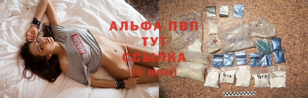 тгк Аркадак