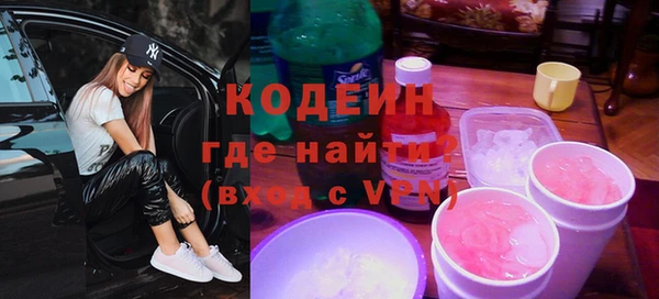 молекула духа Арсеньев