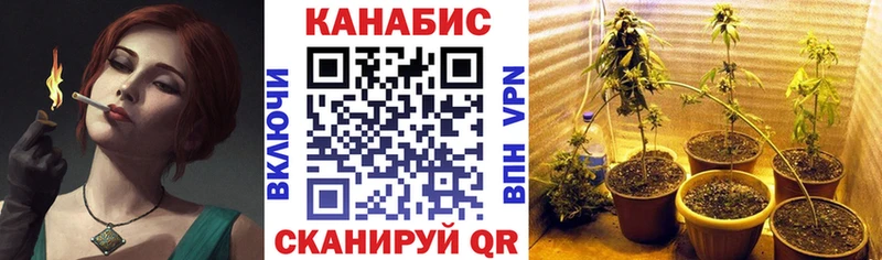 Каннабис AK-47  Купить где  Отрадный 